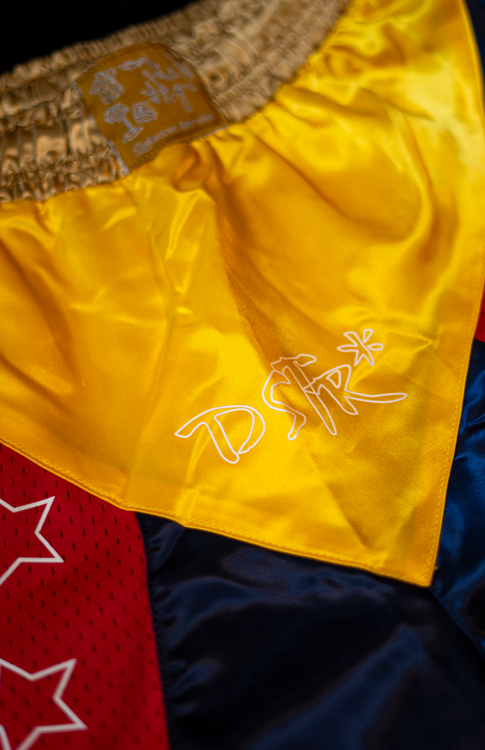 Casita Shorts (Multi)